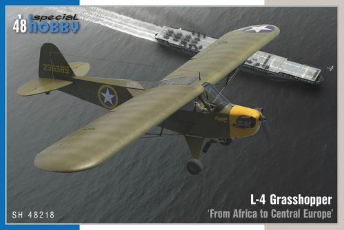 L-4 Grasshopper From Africa...