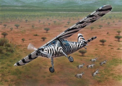 Dornier Do 27 Civilian Service