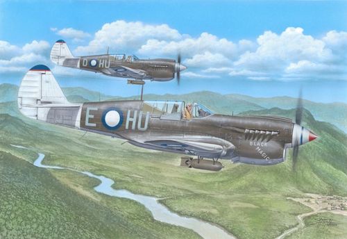 Kittyhawk Mk.IV - Over the...