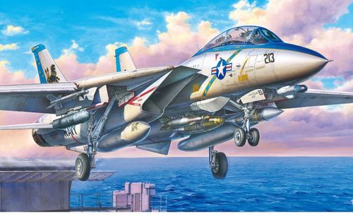 Grumman F-14D Tomcat