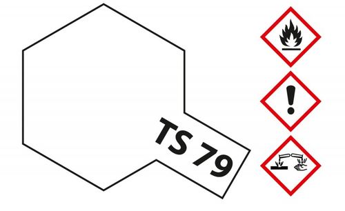 TS-79 Klarlack Seidenmatt