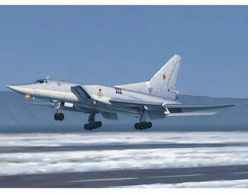 Tu-22M3 Backfire C Strategic...