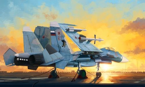 Russian Su-33 Flanker D