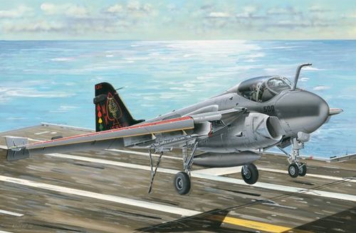 A-6E/TRAM INTRUDER