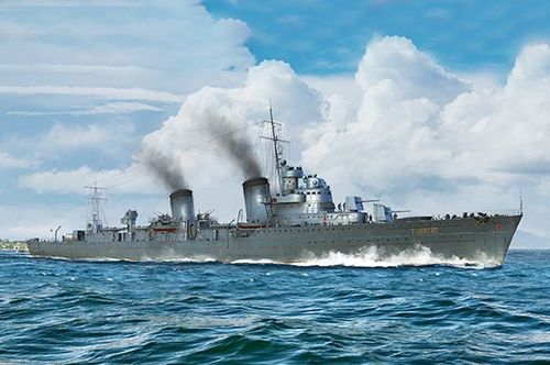 Russian Destroyer Taszkient...