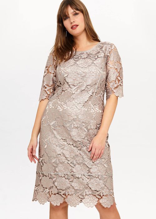 Phase Eight Women's Rosalind Lace Dress