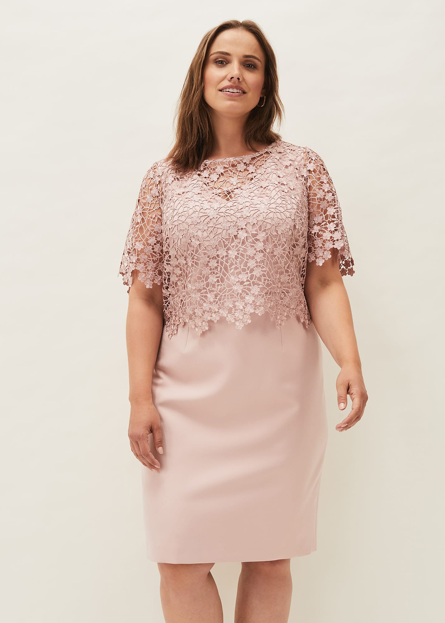 Phase eight eloise lace clearance dress