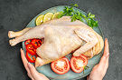 chicken photo