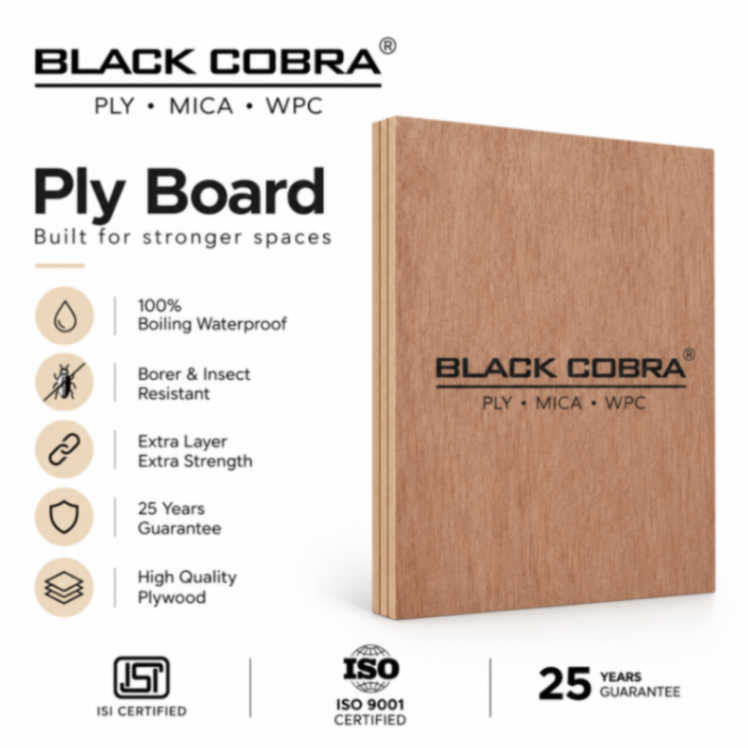Black Cobra Ply Board - Image 2
