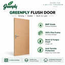 Greenply Flush Door - Image 2