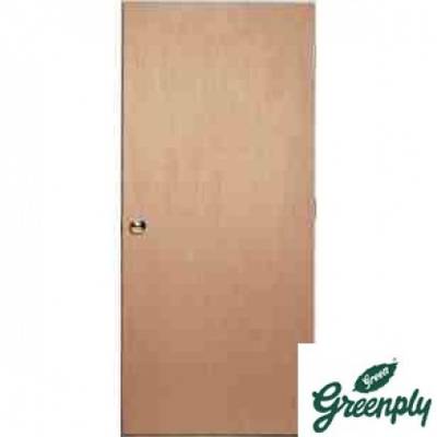 Greenply Flush Door 