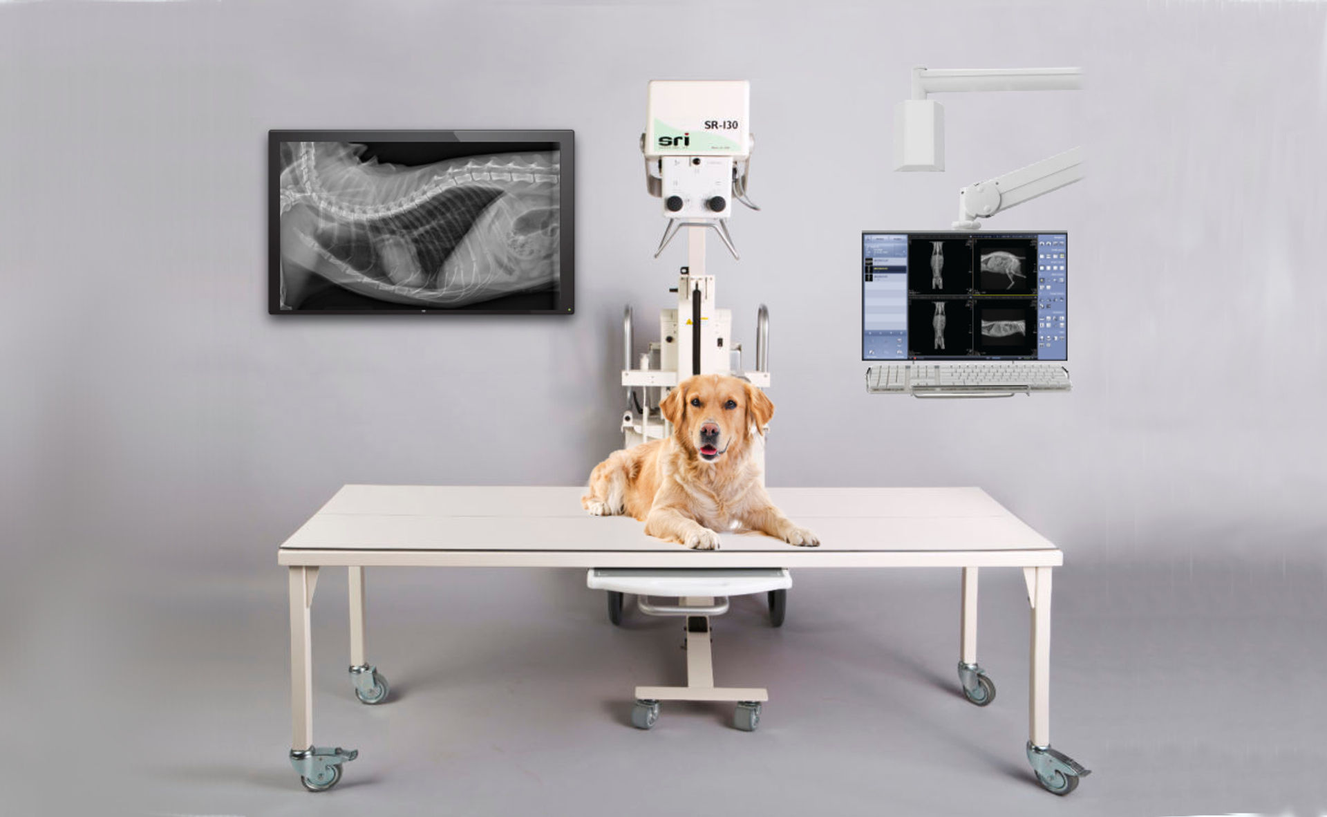Advantages of Source-Ray Portable X-ray Systems for Veterinary ...