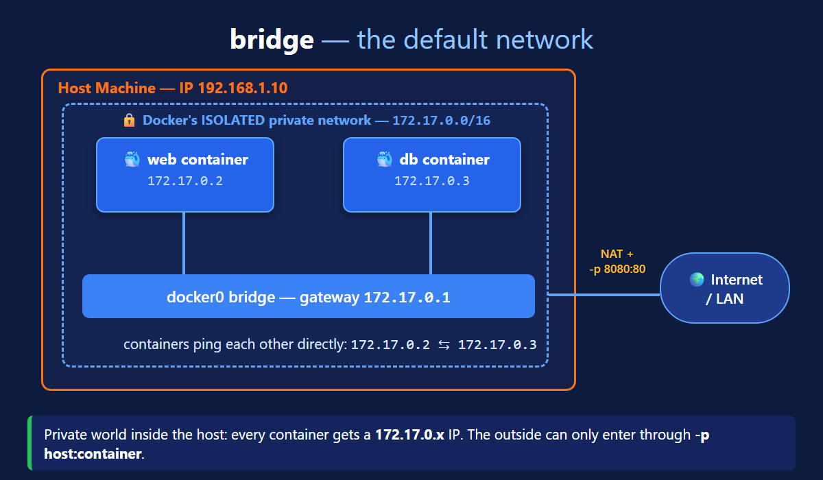 Docker bridge network diagram with clear IPs — web container 172.17.0.2 and db container 172.17.0.3 connected to the docker0 gateway 172.17.0.1 inside host 192.168.1.10