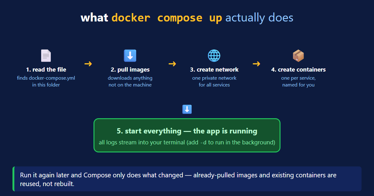 What docker compose up does in order — read the file, pull images, create the network, create containers, start everything