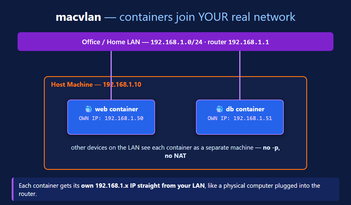 Docker macvlan network diagram showing containers with their own real LAN IPs 192.168.1.50 and 192.168.1.51 connected directly to the office network 192.168.1.0/24