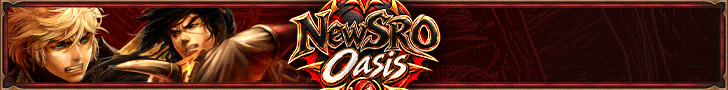 NewSRO Oasis