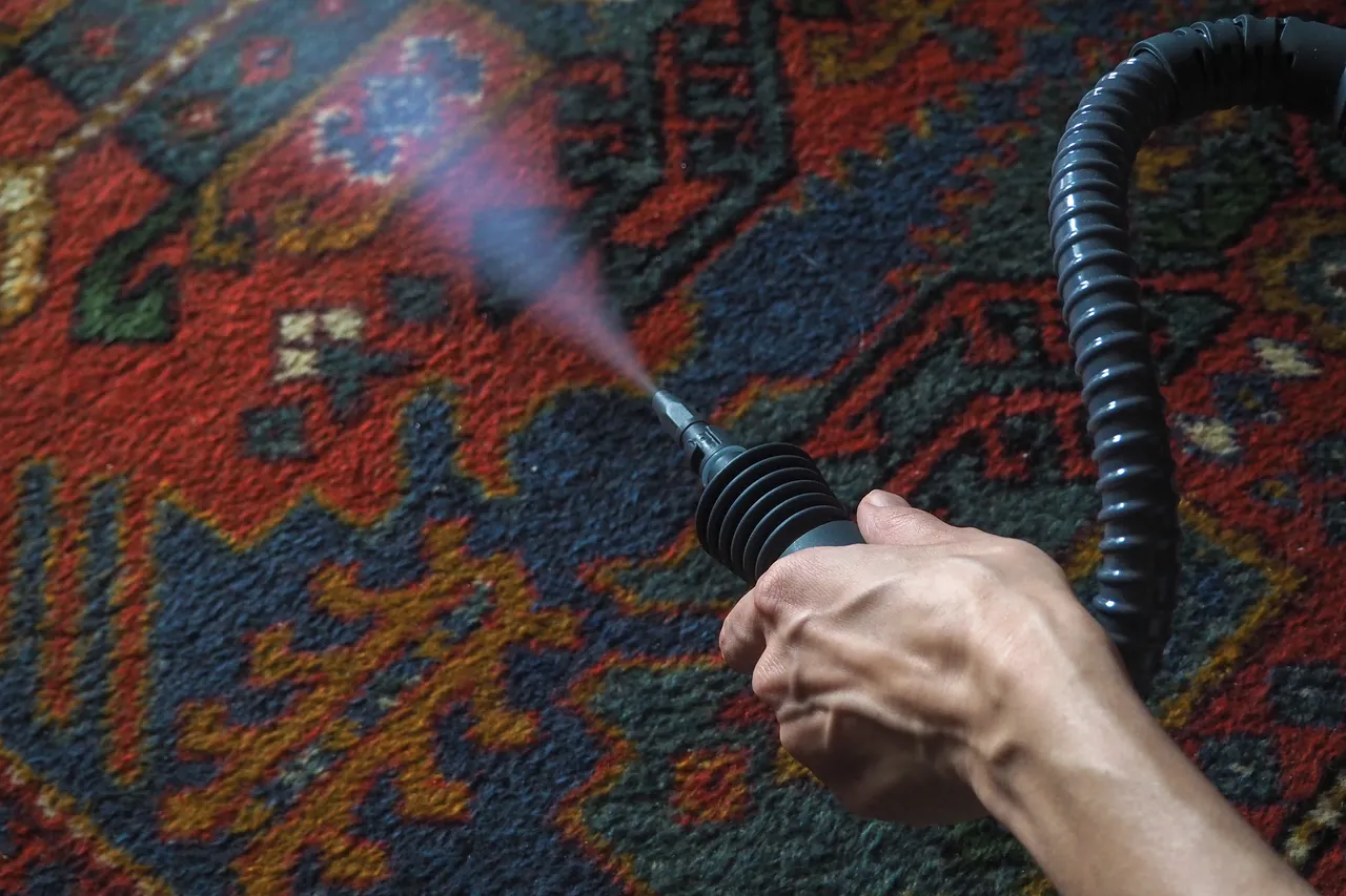 Professional carpet cleaning service