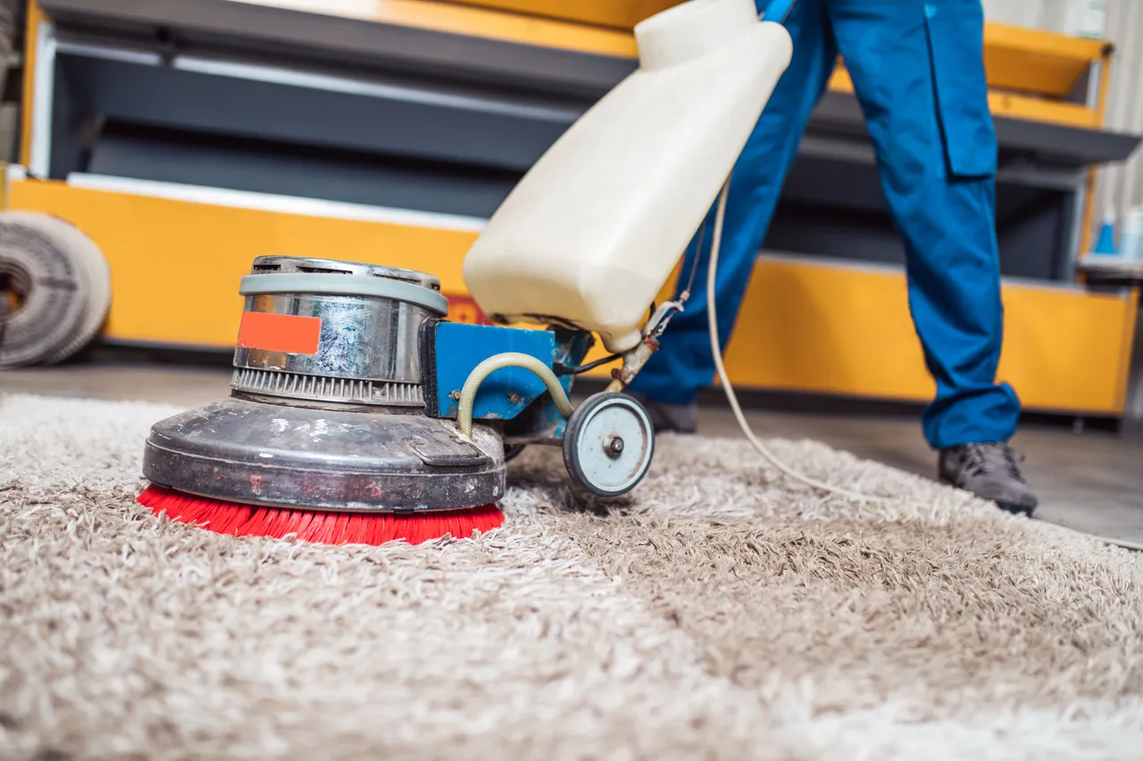 Professional carpet cleaning service