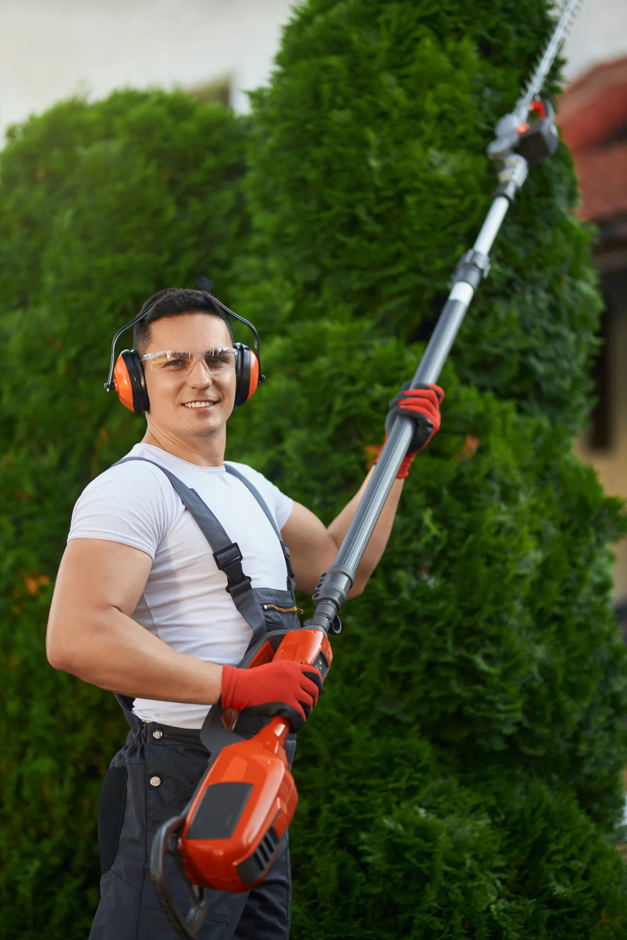 Professional garden maintenance service