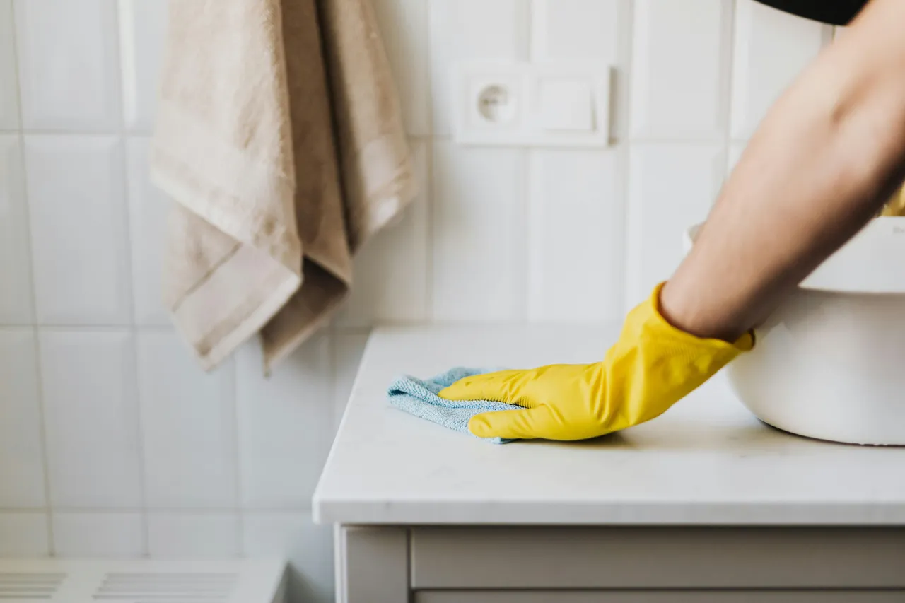 Professional cleaning services