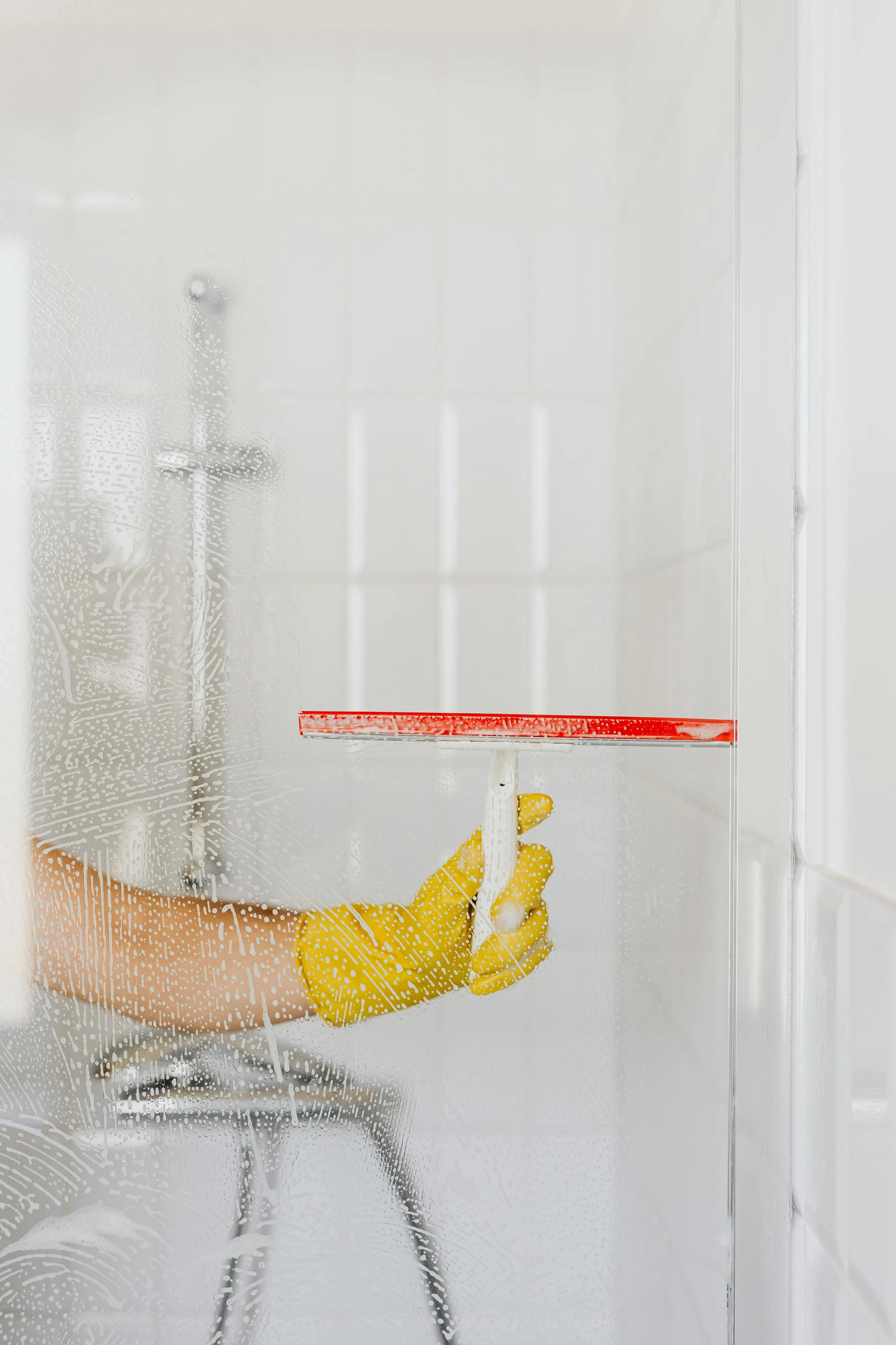 Professional cleaning services
