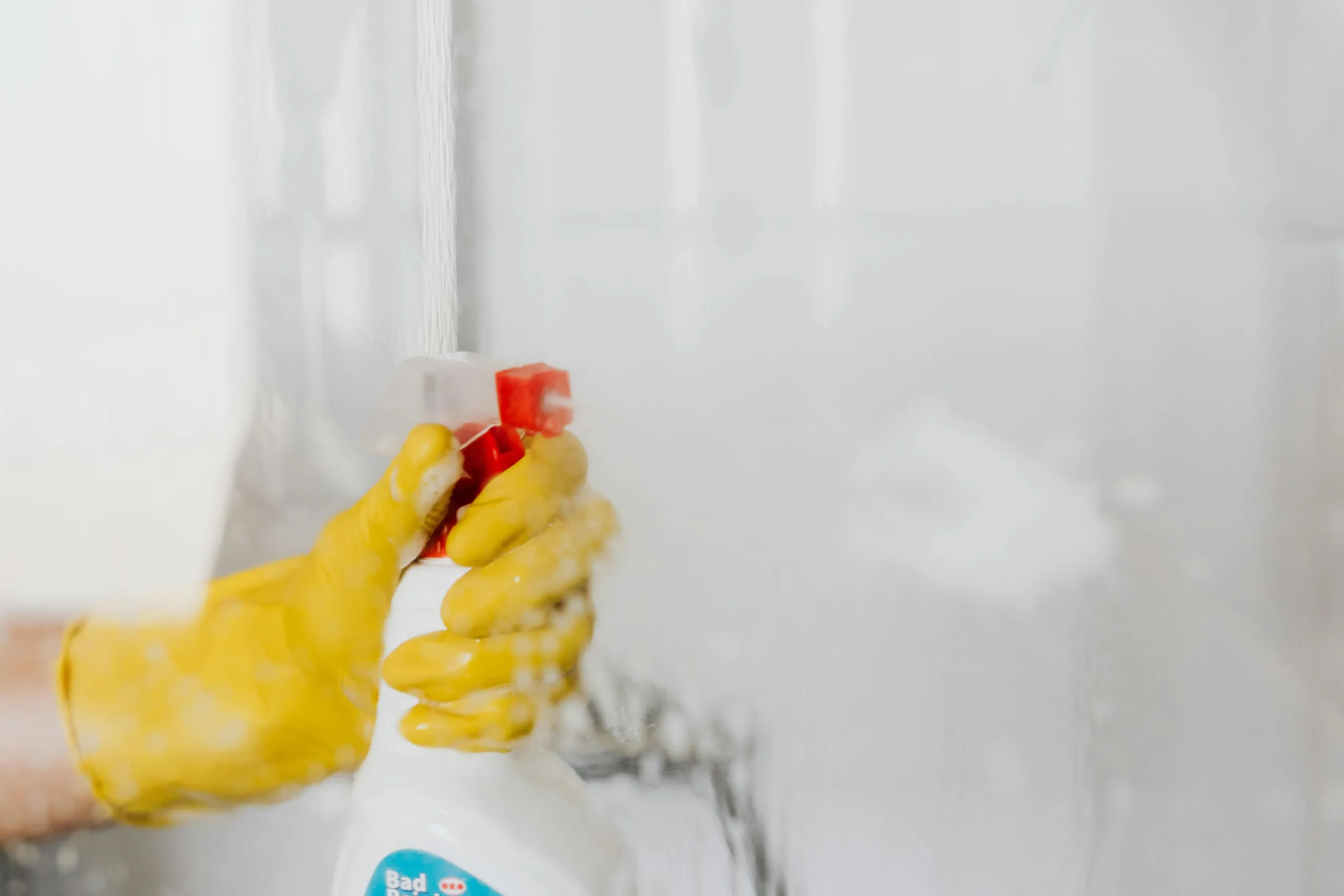 Professional cleaning services