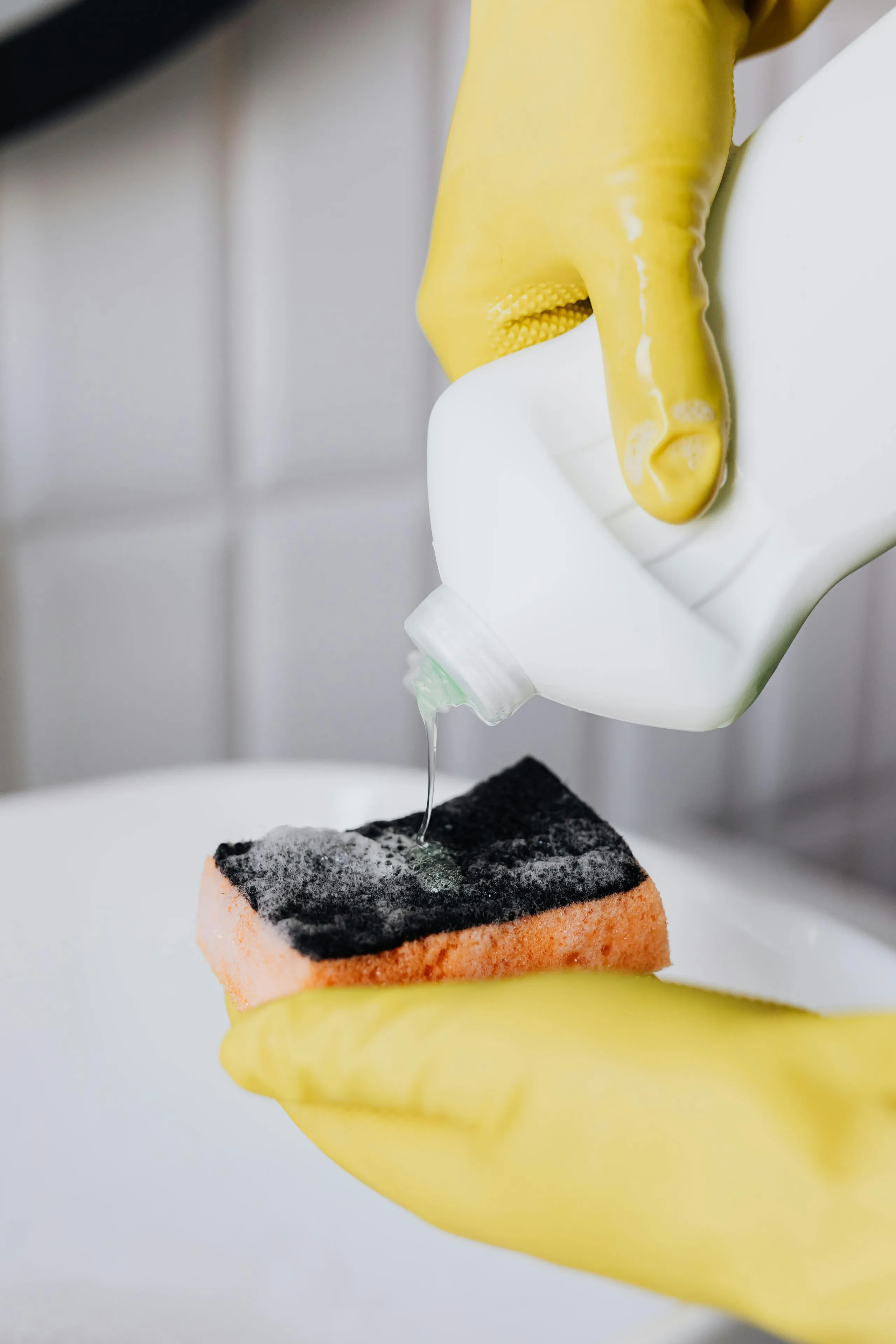 Professional cleaning services