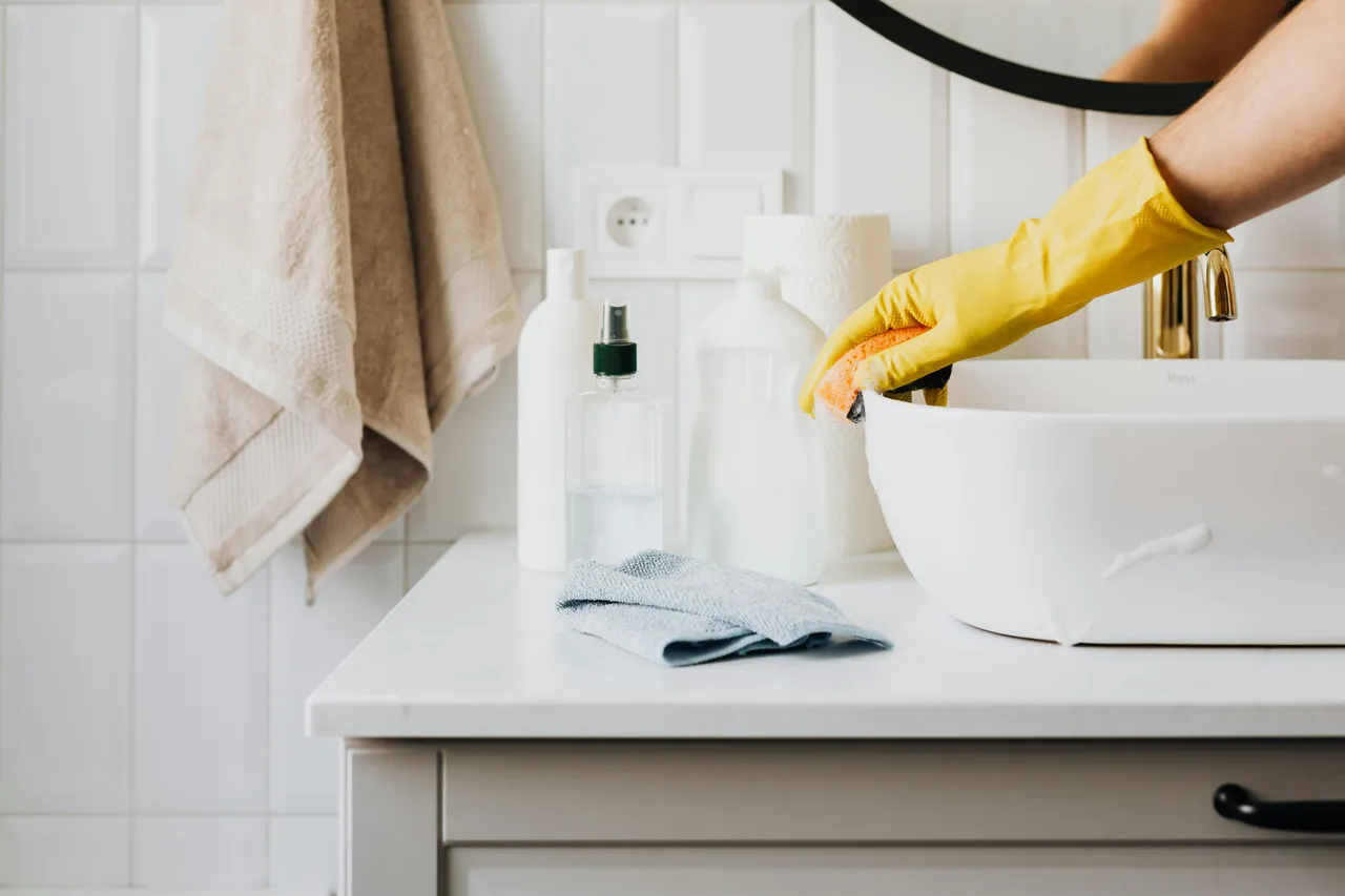 Professional cleaning services