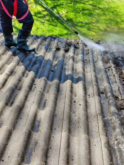 Professional roof cleaning service