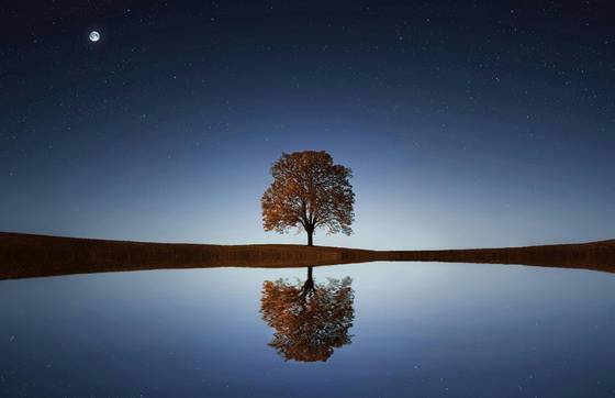 Tree In Between Ocean wallpaper for MacBook Air 15-inch (2880x1864)
