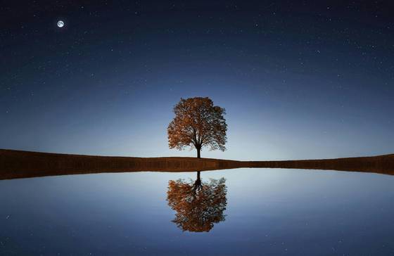 Tree In Between Ocean wallpaper for MacBook Air 13-inch (2560x1664)