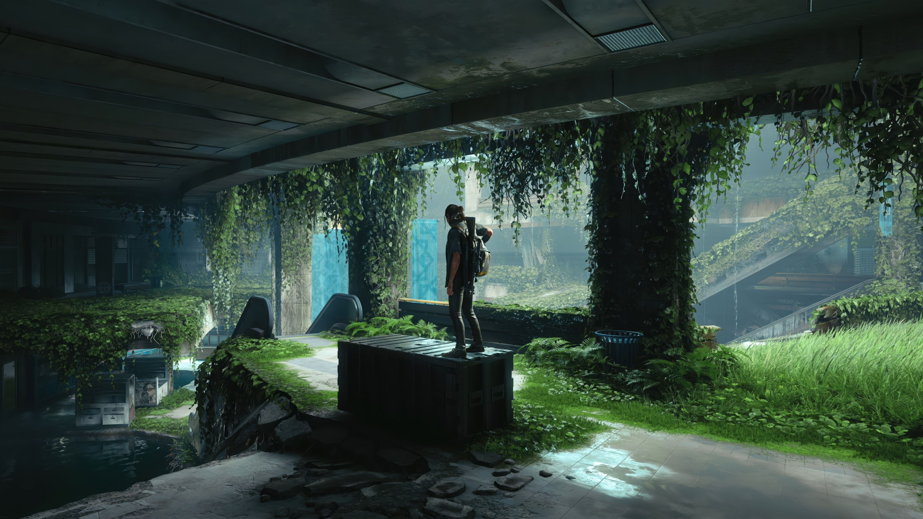 Ellie Last Of Us Part 2 4k Wallpaperz