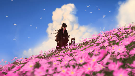 Flower Fields wallpaper for 1920×1080 (Full HD) (1920x1080)