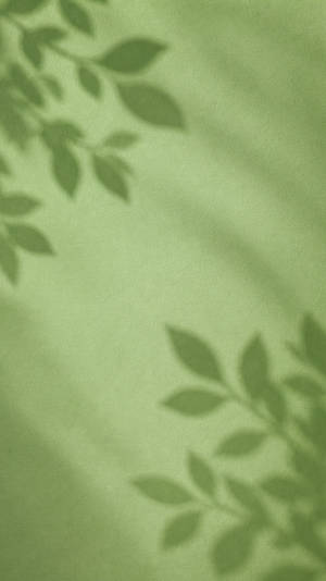 Matcha Green Leaf Shadows wallpaper for iPhone SE (750x1334)