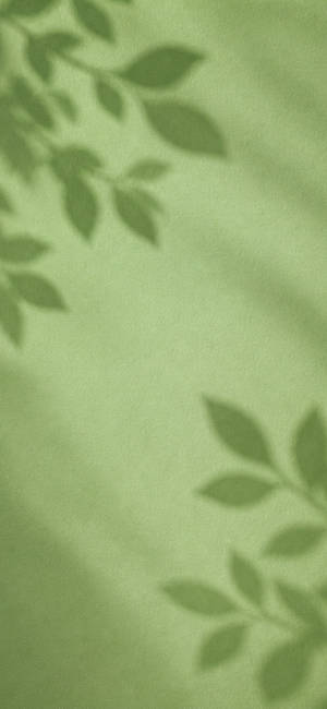 Matcha Green Leaf Shadows wallpaper for iPhone 16 (1179x2556)