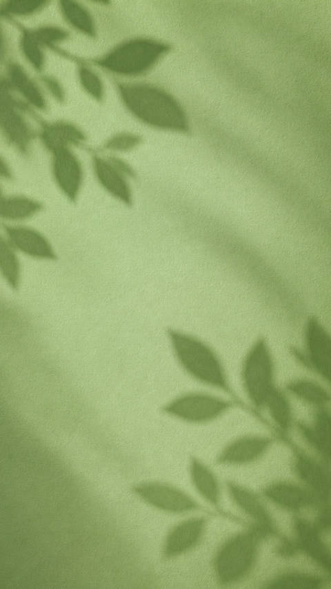 Matcha Green Leaf Shadows - Minimalist wallpaper