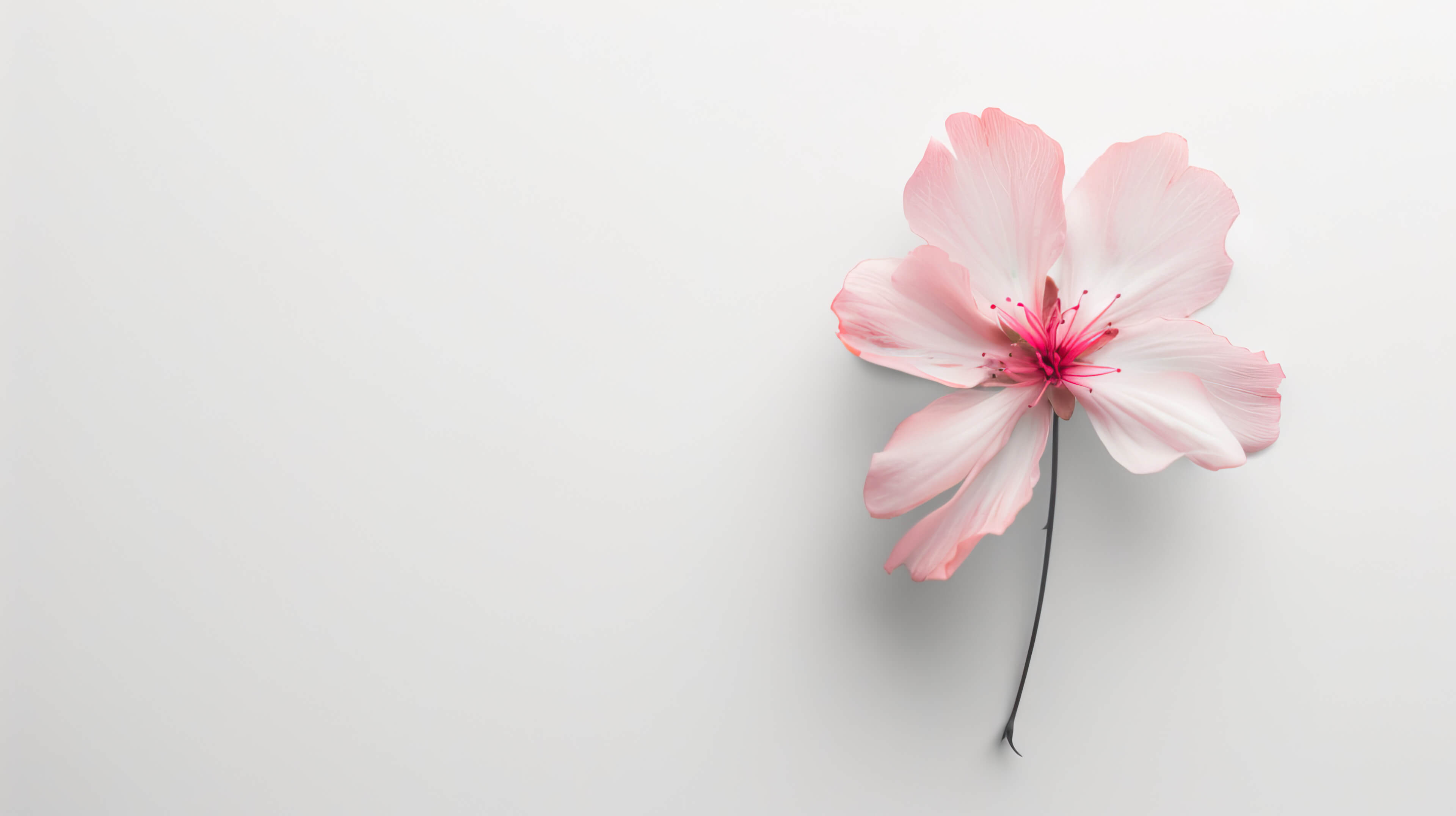 Minimalist Flower