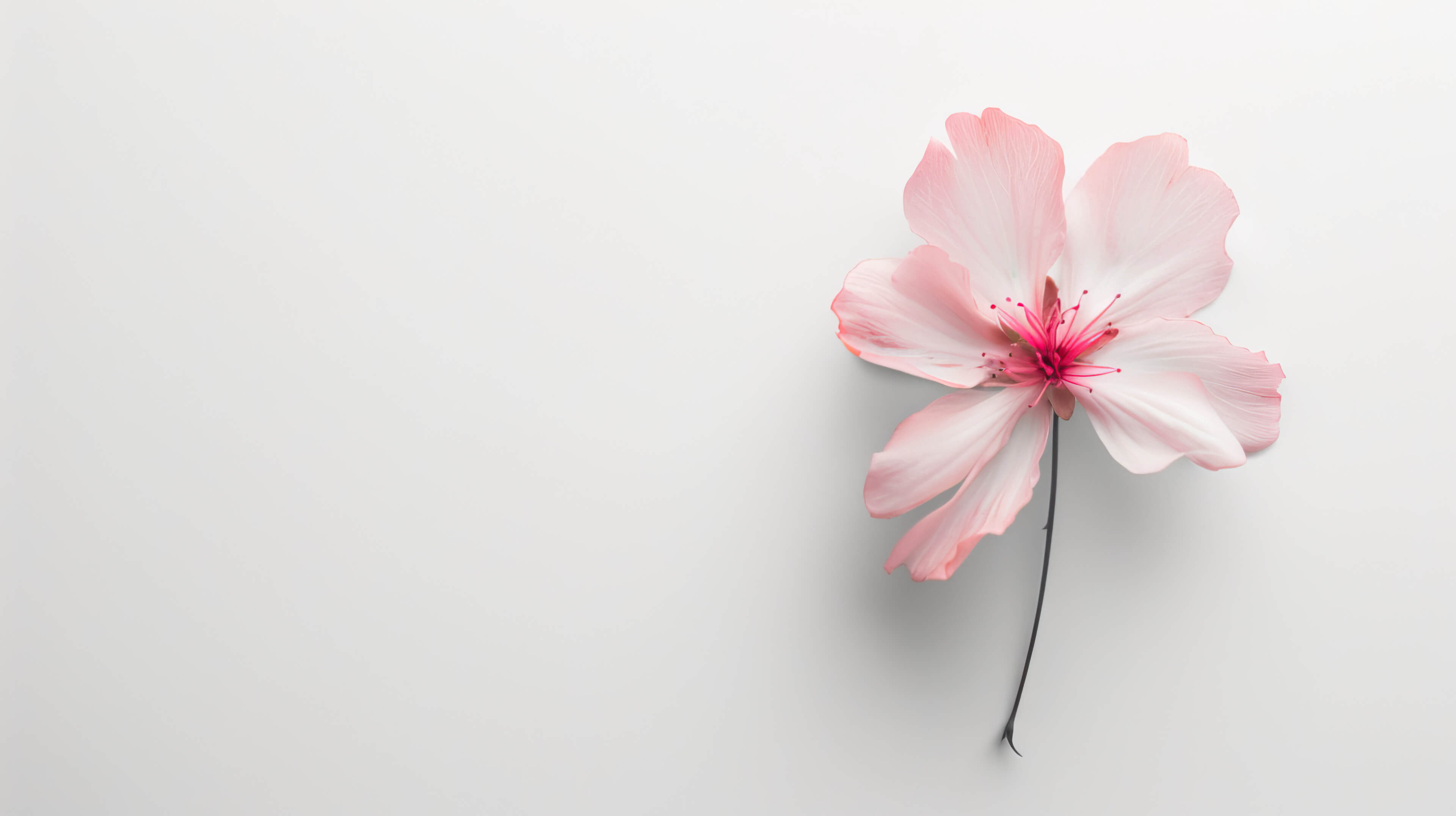 Minimalist Flower