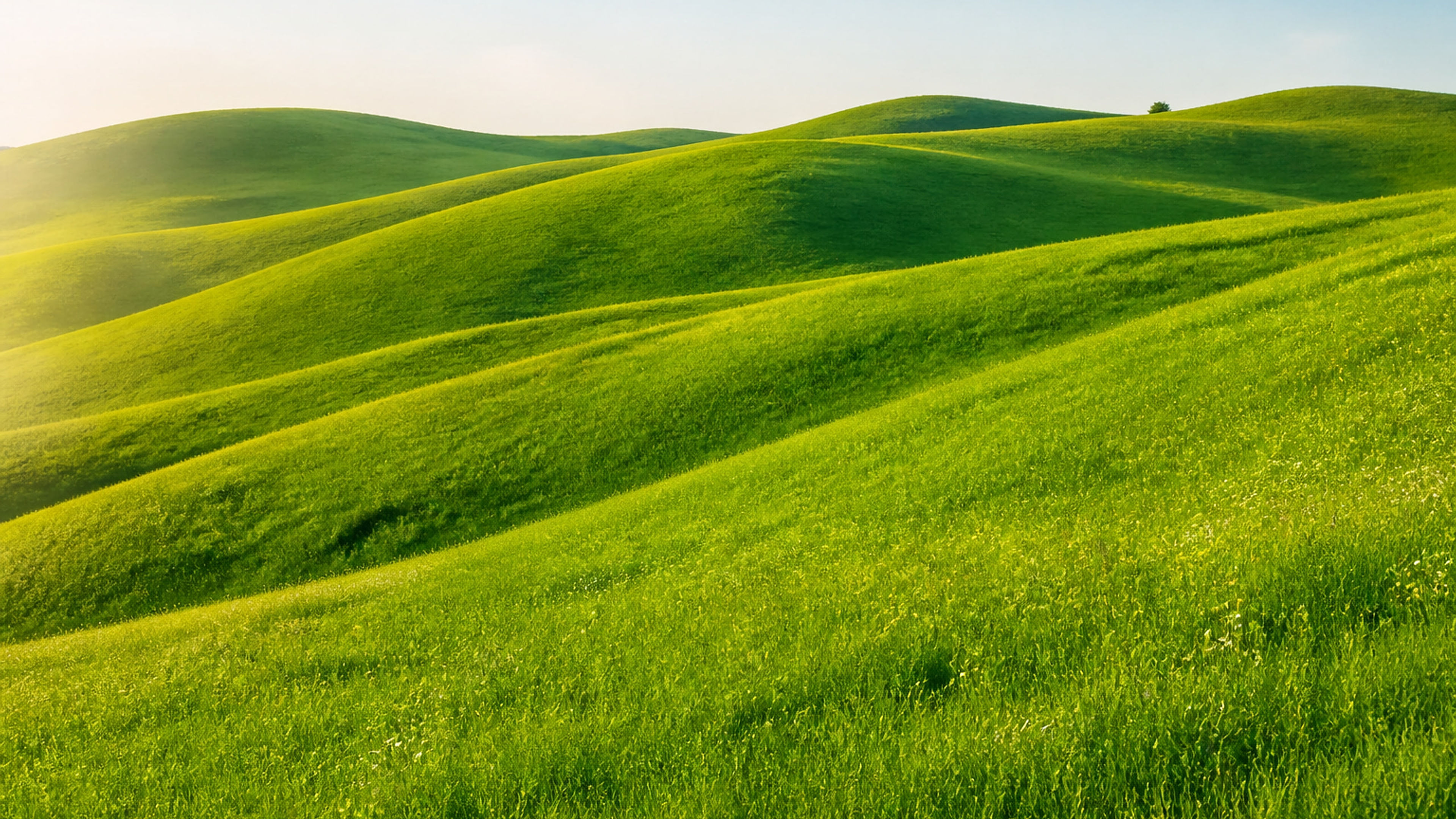 Rolling Green Hills at Morning