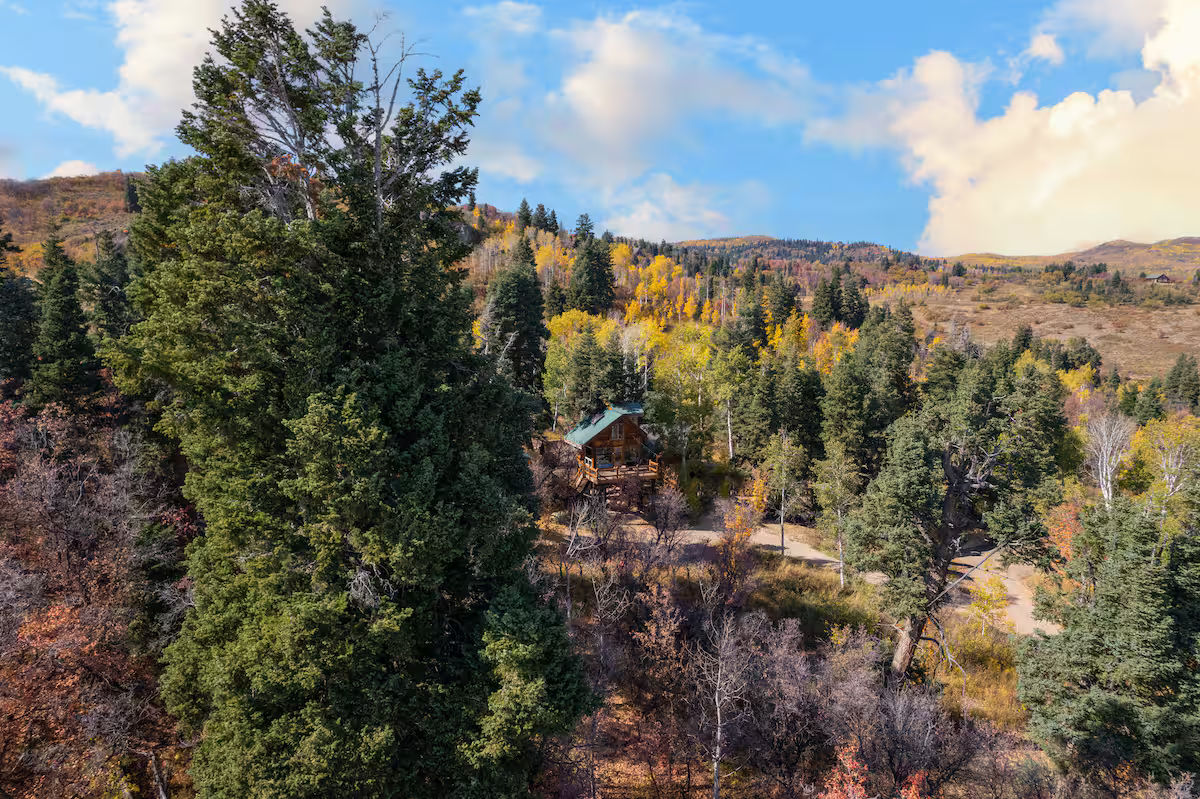 The Treehouse Utah