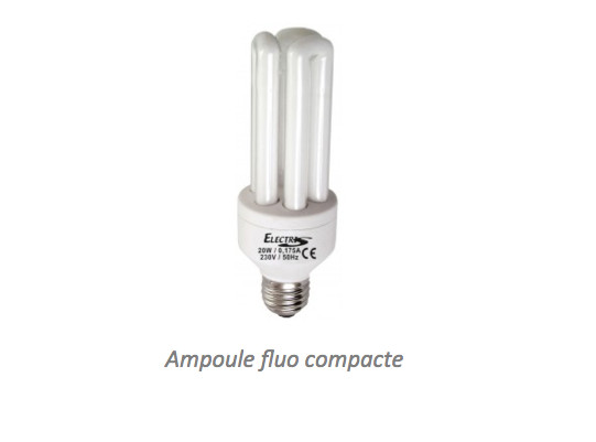 Ampoule fluorescente