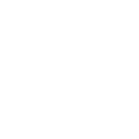 Circle Icon