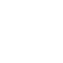 Circle Icon