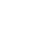 Circle Icon