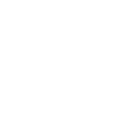 Circle Icon