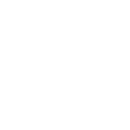 Circle Icon