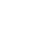 Circle Icon