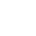 Circle Icon