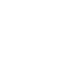 Circle Icon