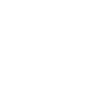 Circle Icon